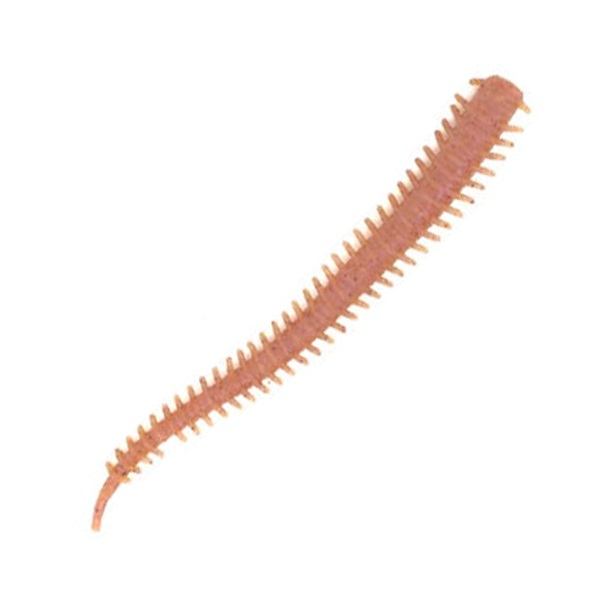 ガルプ！ソルトウォーターイソメ　極太　4インチ(ジャリメ（ＮＡＴ）)